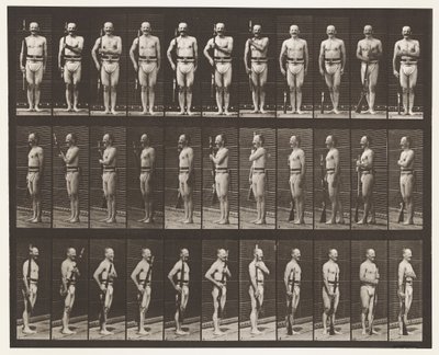Plate 354. Bærearmer, paradestøtte og stiarmer av Eadweard Muybridge