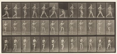 Plate 359. Ladebajonett, 1872-1885 av Eadweard Muybridge