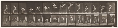 Plate 362. Baksalto av Eadweard Muybridge