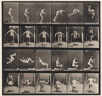 Plate 363. Running Salto, 1885 av Eadweard Muybridge