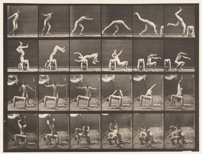 Plate 364. Håndfjær over mannens rygg av Eadweard Muybridge
