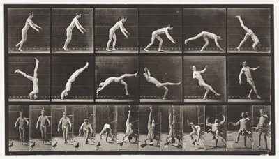 Plate 365. Hodefjær, En flygende due som forstyrrer av Eadweard Muybridge