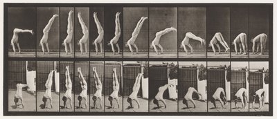 Plate 371. Acrobat, vertikal trykk opp av Eadweard Muybridge