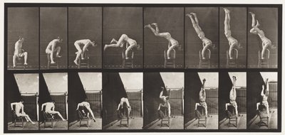 Plate 373. Akrobat, trykk opp fra stolen av Eadweard Muybridge