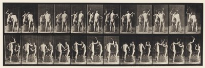 Plate 375. Smeder, to modeller, hamring på ambolt av Eadweard Muybridge