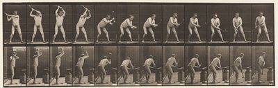Plate 376. Smed, hamring på ambolt, to hender, 1872-1885 av Eadweard Muybridge