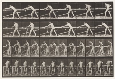 Plate 379. Snekker, høvle et bord, 1872-1885 av Eadweard Muybridge