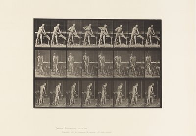 Plate 380. Snekker, Saging, 1872-1885 av Eadweard Muybridge
