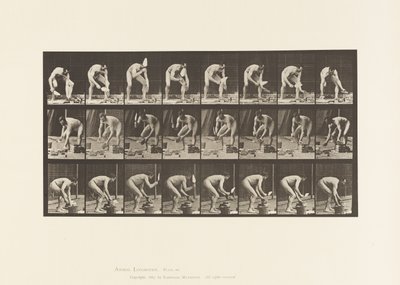 Plate 381. Murer, Legger en murstein av Eadweard Muybridge