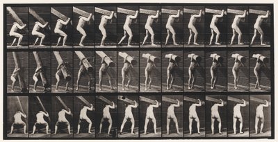 Plate 383. Løfting av en stokk på skulderen av Eadweard Muybridge