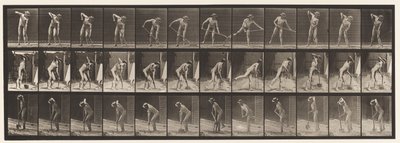 Tallerken 387. Bonde, ved hjelp av en langskaftet spade av Eadweard Muybridge