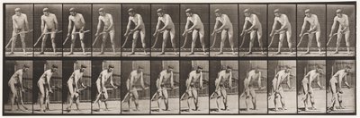 Tallerken 391. Bonde, Slår gress av Eadweard Muybridge