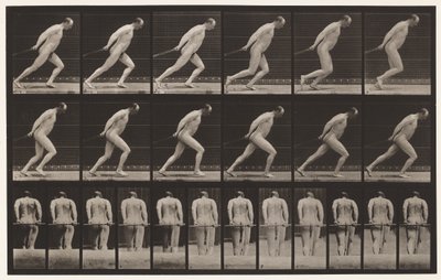 Plate 392. Draging av en hagerulle, 1872-1885 av Eadweard Muybridge
