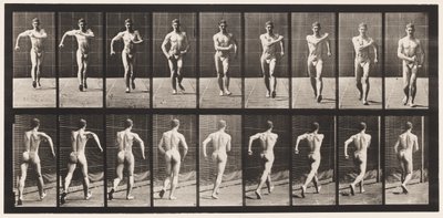 Plate 3. Gå av Eadweard Muybridge