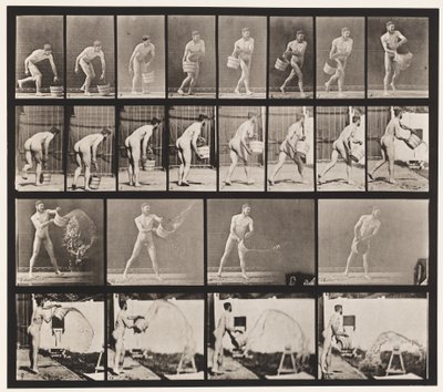 Tallerken 400. Tømmebøtte med vann, 1872-1885 av Eadweard Muybridge