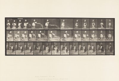 Plate 404.Tømmebøtte med vann, 1885 av Eadweard Muybridge