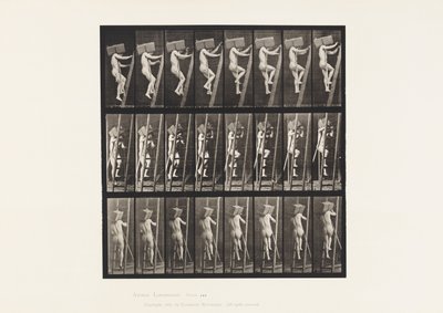Plate 405. Bærende hånd av murstein opp en stige, 1872-1885 av Eadweard Muybridge
