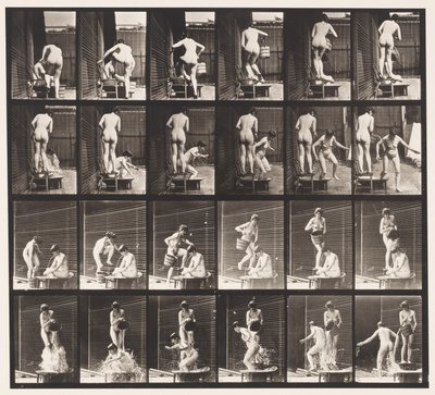 Plate 407. To modeller, 8 bøtte med vann over 1 av Eadweard Muybridge