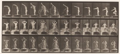 Plate 409. Helle bassenget med vann over hodet av Eadweard Muybridge