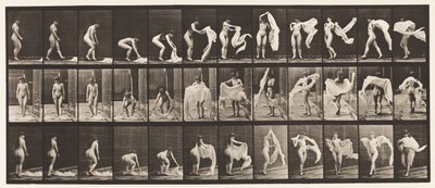Tallerken 419. Toalett, Bøyd, Kaste Wrap Around Skuldre av Eadweard Muybridge