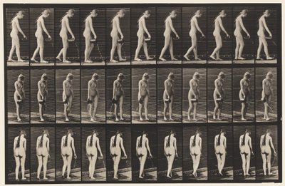 Tallerken 42. Gå, helle vann fra pitcher av Eadweard Muybridge