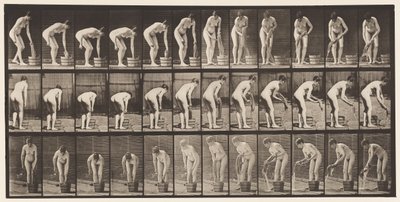 Tallerken 433. Vridende klær av Eadweard Muybridge
