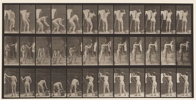 Plate 434. Hengende klær på linje, 1872-1885 av Eadweard Muybridge