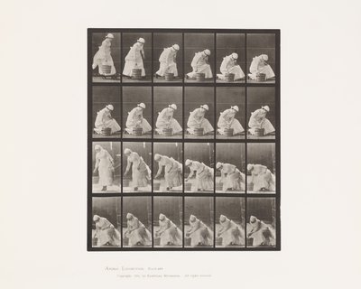 Plate 438. Sette ned bøtte og klargjøre for skrubbing, 1885 av Eadweard Muybridge