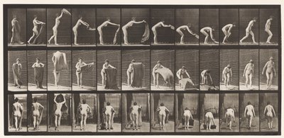 Plate 439. Spre et teppe på gulvet, 1872-1885 av Eadweard Muybridge