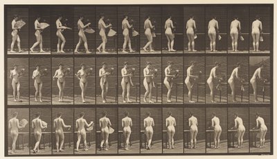 Tallerken 441. Bær vase og plasser den på bordet, 1872-1885 av Eadweard Muybridge