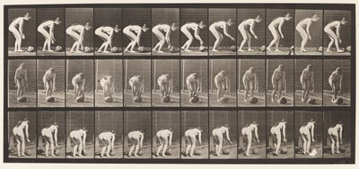 Plate 442. Bøye seg ned og rulle en stein på bakken av Eadweard Muybridge
