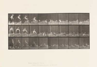 Plate 455. Kaster selv på høyhaug av Eadweard Muybridge