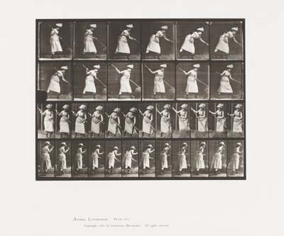 Plate 456. Rangeringen er 165 av Eadweard Muybridge