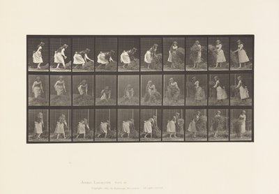 Tallerken 458. Løfter håndfuller høy, snur, kaster det ned av Eadweard Muybridge