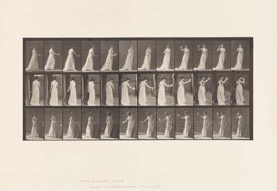 Tallerken 462. Heller drikkoffer på bakken, drikker fra beger, 1885 av Eadweard Muybridge