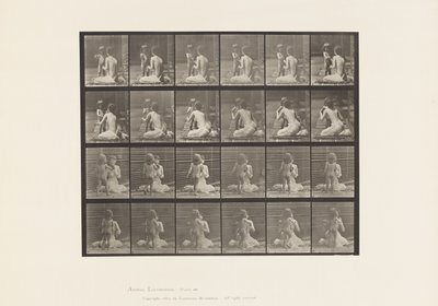 Plate 466. To modeller, Child 70N, bringer bukett til 12, 1885 av Eadweard Muybridge