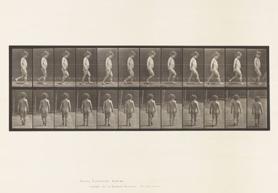 Plate 467. Barn, gående, 1885 av Eadweard Muybridge