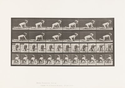 Plate 471. Barn, krypende på hender og knær, 1885 av Eadweard Muybridge