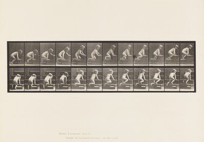 Plate 472. Child, Crawling Upstairs, 1885 (kollotype på papir) av Eadweard Muybridge