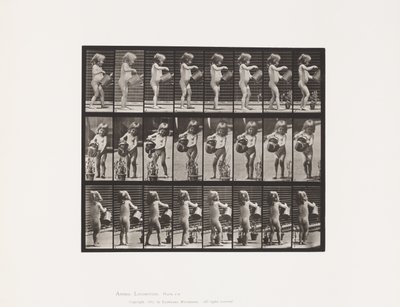 Tallerken 478. Barn, dryss vann over noen blomster, 1885 av Eadweard Muybridge