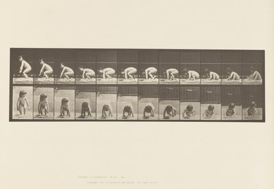 Plate 479. Barn, reiser seg fra bakken av Eadweard Muybridge