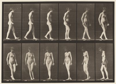 Plate 47. Gå og snu seg rundt av Eadweard Muybridge