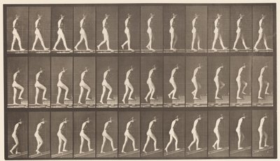 Plate 482. A, Gående; B, stigende trapper; C, Ascending Incline, 1872-1885 av Eadweard Muybridge
