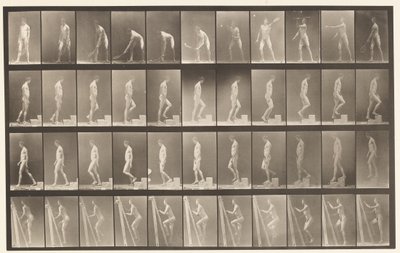 Plate 486. A, Plentennis; B, Bestigning et trinn;, 1872-1885 av Eadweard Muybridge