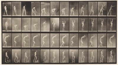Plate 488. A, Plentennis; B, Dumb Bells; C, Walking on hands;, 1872-1885 av Eadweard Muybridge
