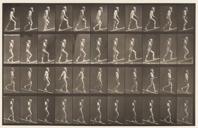 Plate 489. A, Stigende skråning;, 1872-1885 av Eadweard Muybridge