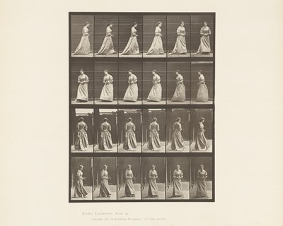Tallerken 48. Bukett for gå og snu seg i begge hender, 1885 av Eadweard Muybridge