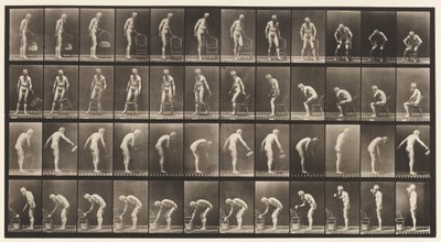 Plate 490. A, Sittende; B, sitte ned; C, Drenking Vann av Eadweard Muybridge