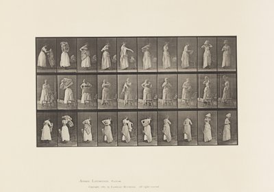 Plate 495. Diverse faser av toalettet av Eadweard Muybridge