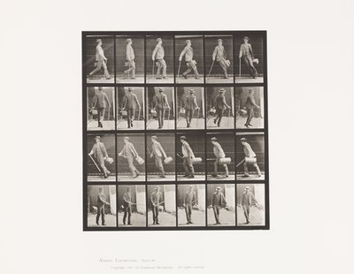 Plate 49. Gå og snu seg raskt av Eadweard Muybridge